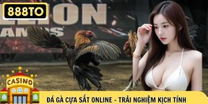 Đá Gà Cựa Sắt Online